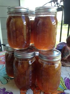 Pic of First Fig Harvest 7.18.16 Canned 8 jars